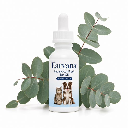 Eucalyptus Scented Ear Oil